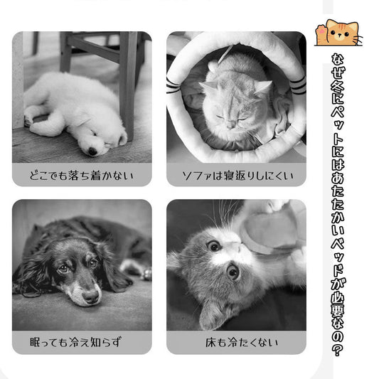 猫用ベッド ふわふわあったか 包み込むハイウォール design 丸洗い可能 ペットベッド