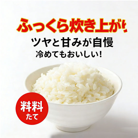 【茨城県産コシヒカリ】令和6年産・精米したて新米・お弁当おにぎりに・5kg/10kg