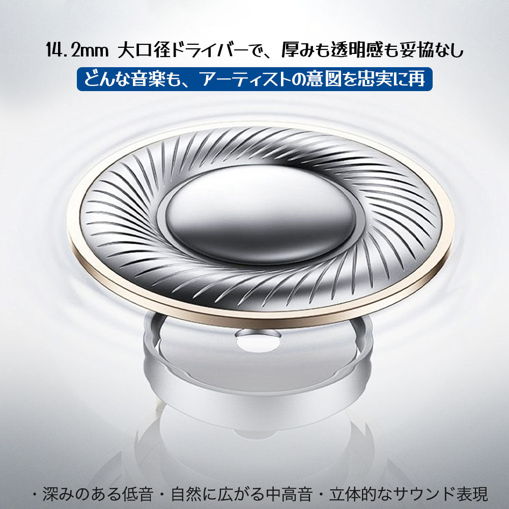 有線イヤホン 高音質 マイク・リモコン付き ノイズ低減 Type-C/USB-A/3.5mm対応 オンライン会議・ゲームにも W135