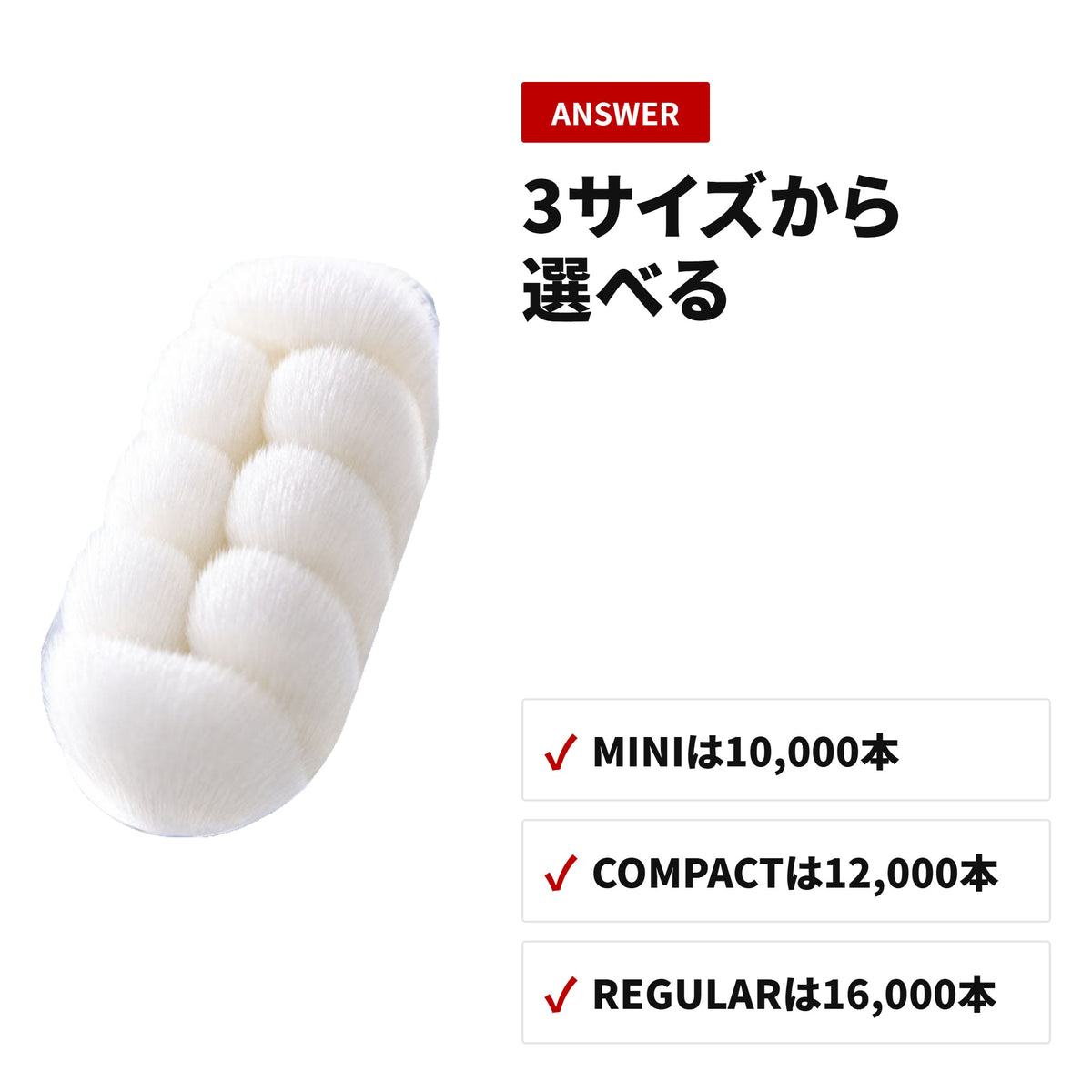Blanvina もっちり濃密極細毛歯ブラシ 6本セット やわらかめ 歯ぐきに優しいオーラルケア ディテール