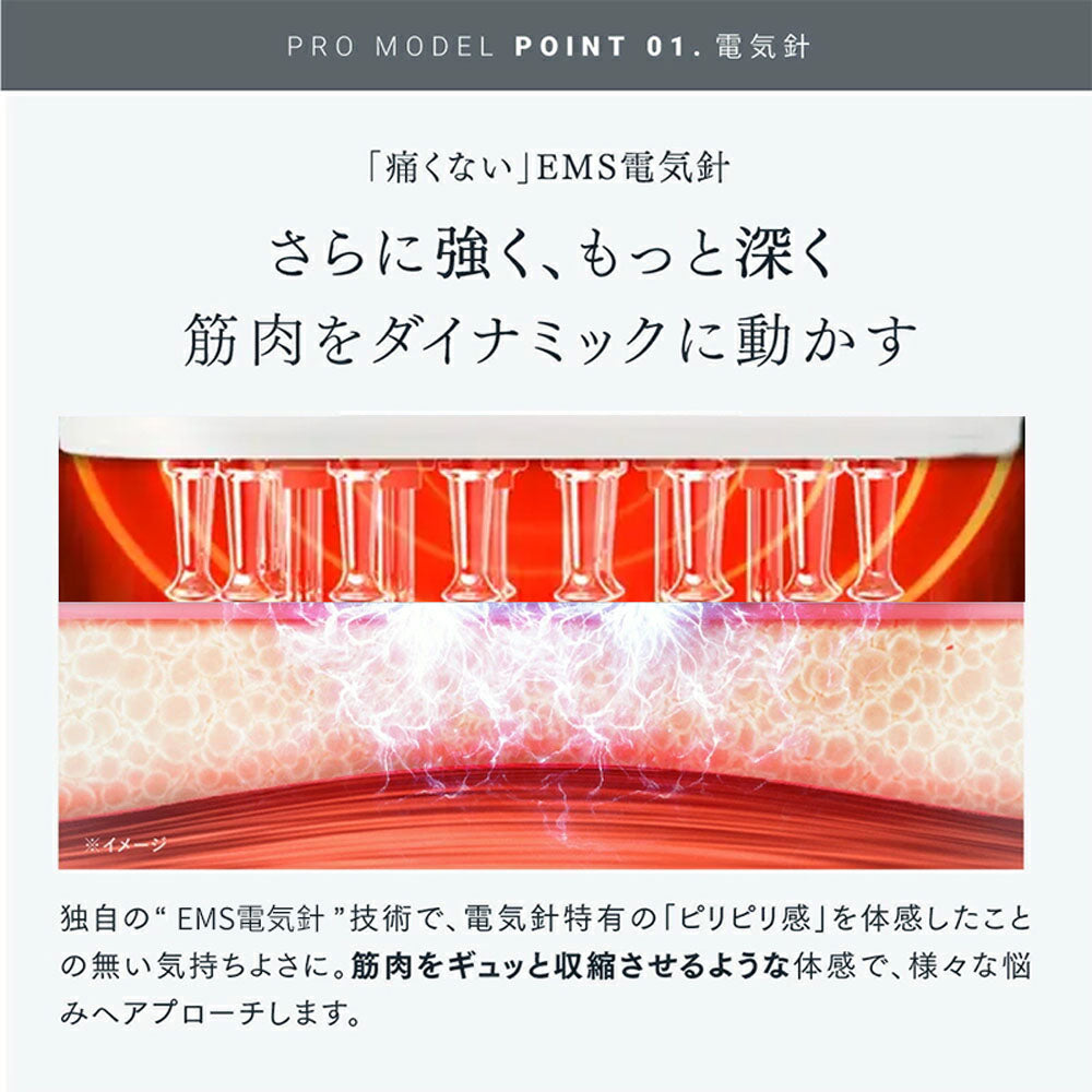 電動頭皮ケアブラシ EMS＋LED搭載 美容液・育毛剤注入対応 防水設計