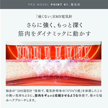 電動頭皮ケアブラシ EMS＋LED搭載 美容液・育毛剤注入対応 防水設計