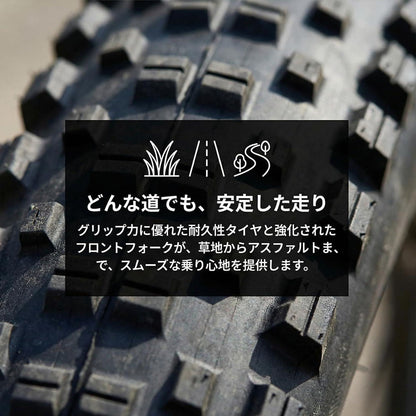 キッズ自転車 14インチ 補助輪付き BMX風デザイン 組立簡単 X0014LV