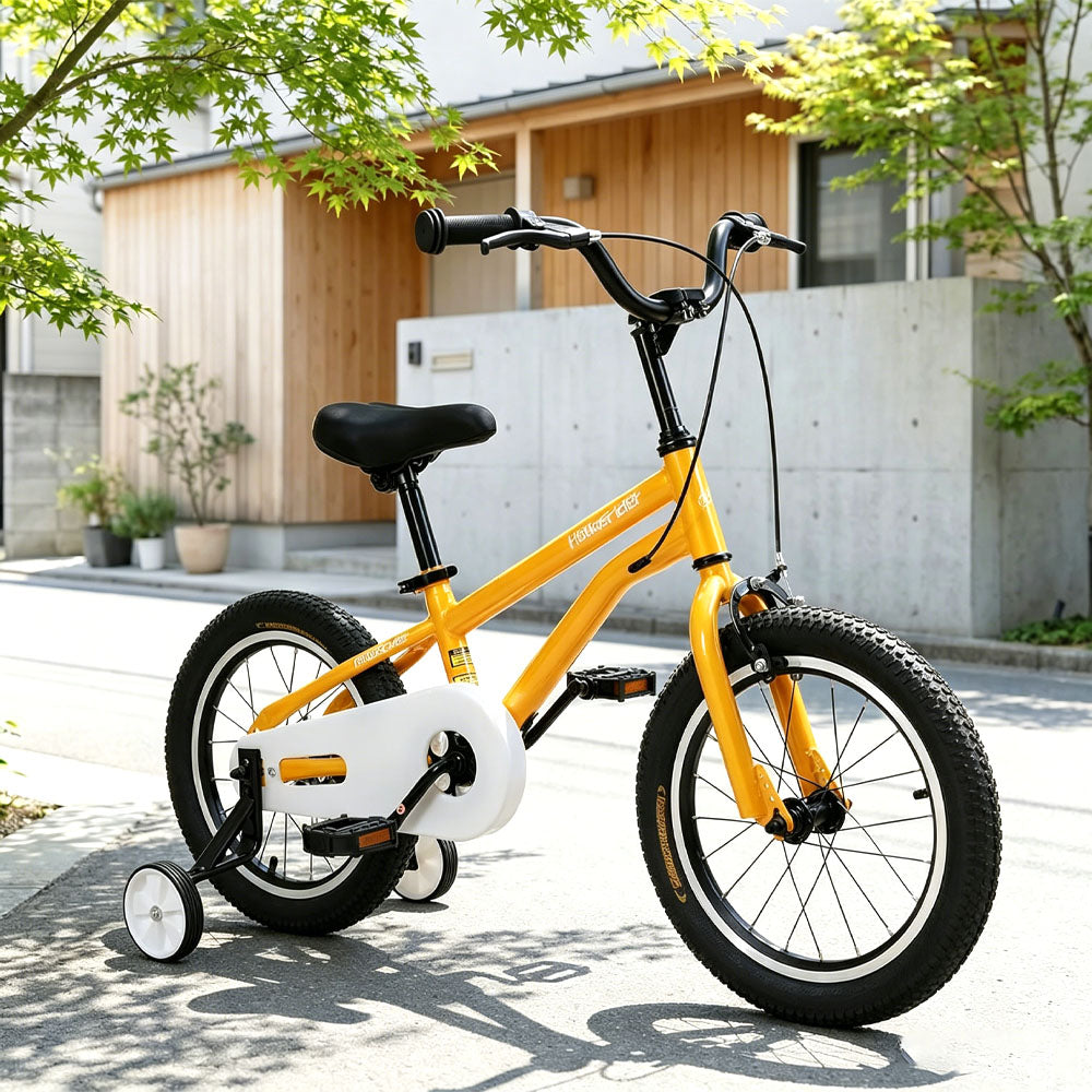 キッズ自転車 14インチ 補助輪付き BMX風デザイン 組立簡単 X0014LV